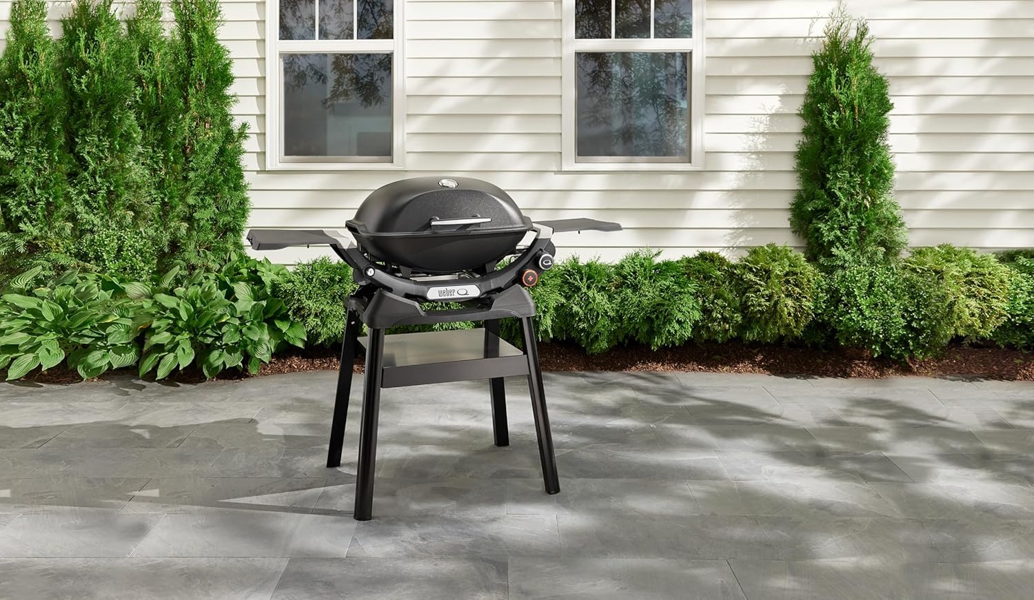 image:imageWeber Q Compact Stand