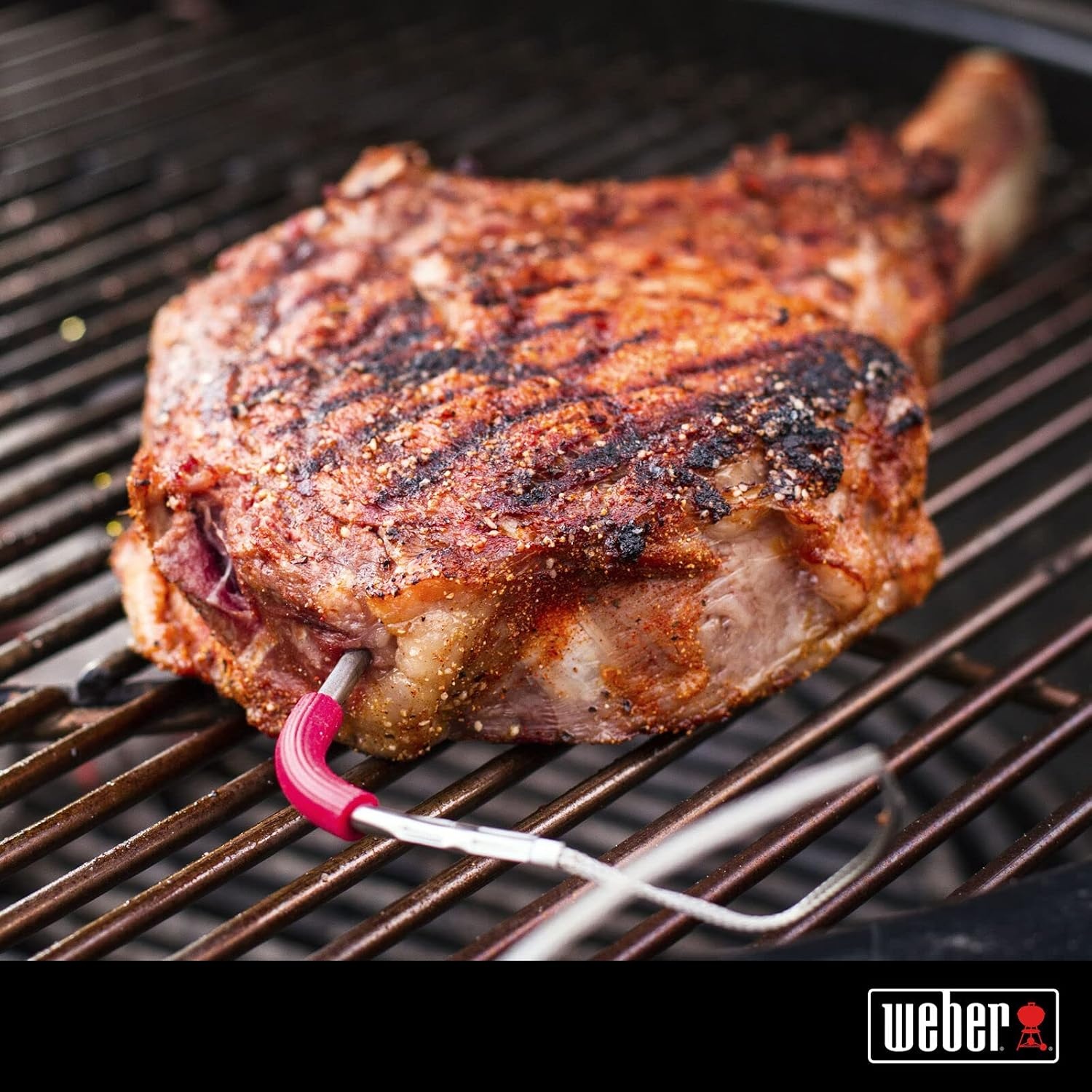 image:imageWeber iGrill Pro Meat ProbeSingle
