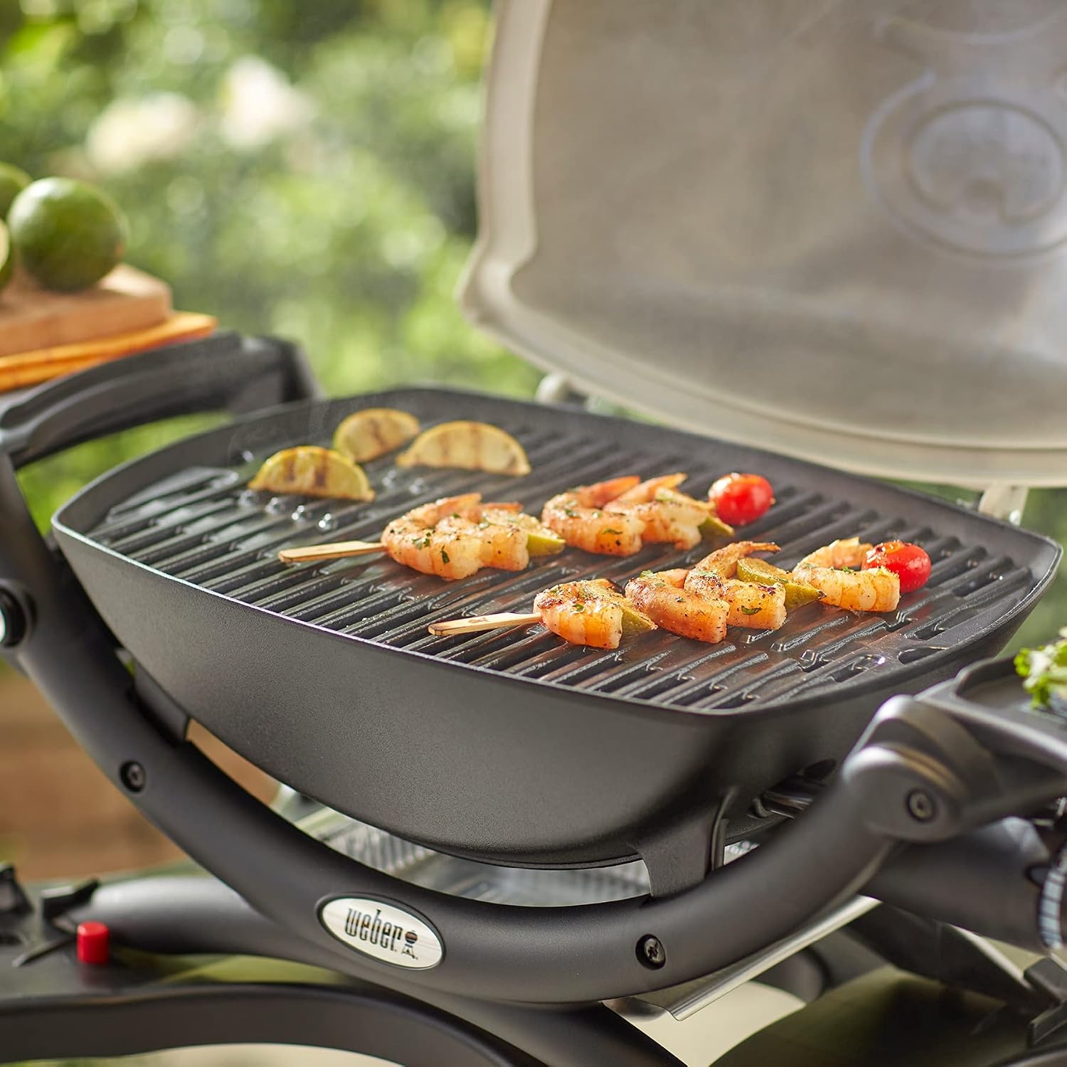 image:imageWeber Q PorcelainEnameled CastIron Cooking Grates
